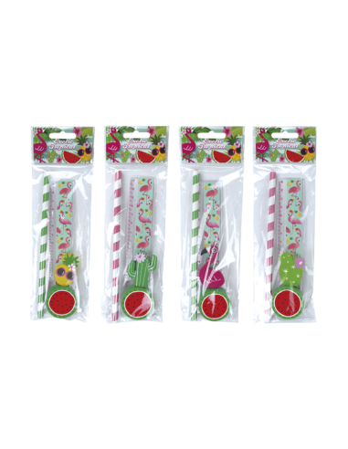 SET 4 PCS PAPELERiA TROPICAL EXOTIC